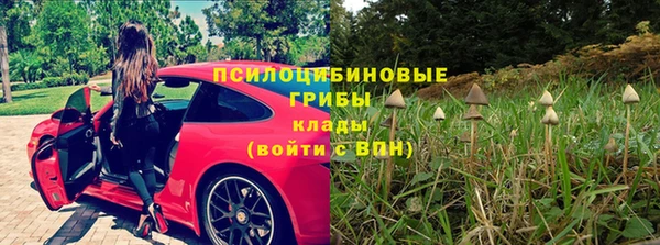 круглые Белокуриха