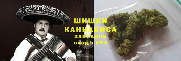 метадон Богданович