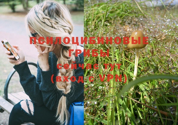 MESCALINE Богородицк