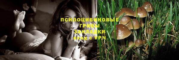 круглые Белокуриха