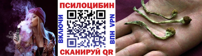 где найти наркотики Жигулёвск Галлюциногенные грибы прущие грибы
